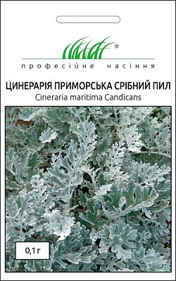Насіння Професійне насіння цинерарія приморська Срібний пил 0,1 г