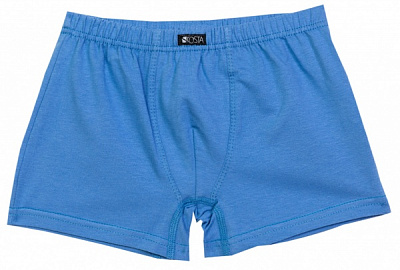 Трусы для мальчиков KOSTA р.158-164 голубой бледный 2105-5 