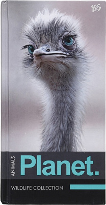 Книга для нотаток 7БЦ 64 аркуша YES