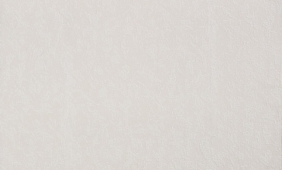 Шпалери вінілові на флізеліновій основі Bravo 86066BR91 1,06x10,05 м