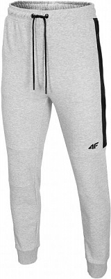 Брюки 4F H4L20-SPMD002-27M р. M светло-серый