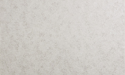 Шпалери вінілові на флізеліновій основі Bravo 81192BR33 1,06x10,05 м