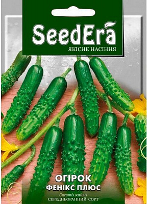 Насіння Seedera огірок Фенікс Плюс 20г