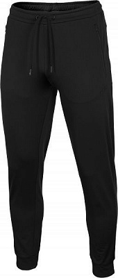 Брюки 4F NOSD4-SPMTR300-20S р. L черный