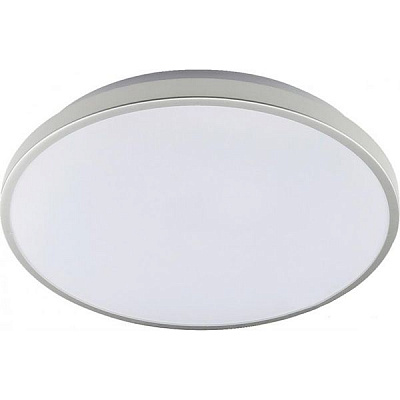 Светильник светодиодный Геотон Optimus GTN-24/300 24 Вт бело-серебряный 4000 К 