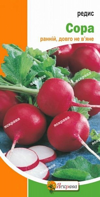 Насіння Яскрава редиска Сора 3г (4823069801434)