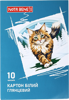 Набор белого картона глянцевого А4 10 листов Nota Bene