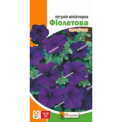 Семена Яскрава петуния миниатюрная Фиолетова