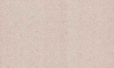 Шпалери вінілові на флізеліновій основі Bravo 81800BR03 1,06x10,05 м