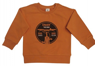 Джемпер для хлопчика Роза р.116 темна гірчиця 210578