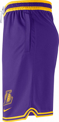 Шорти Nike LAL M NK DF DNA SHORT TEAM DH9175-504 р. 3XL фіолетовий