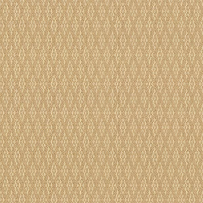 Обои Vinil Дуглас ТФШ7-1342 