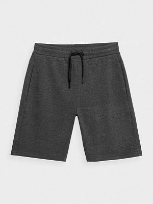 Шорти 4F SHORTS CAS M156 4FSS23TSHOM156-23M р. 3XL сірий
