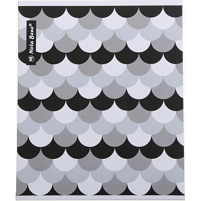 Зошит шкільний 48 аркушів у клітинку 1_2019 Nota Bene