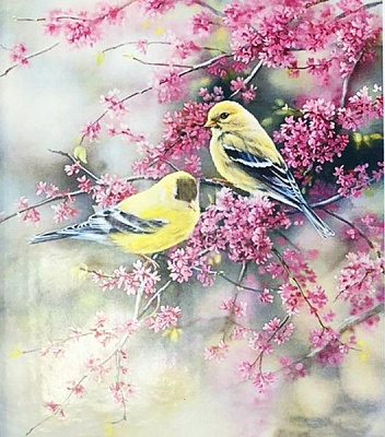 Набір для творчості зі стразами на підрамнику Пташки 40х50 см Діамантові ручки