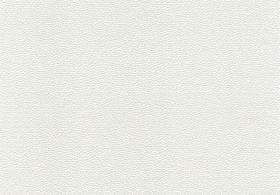 Шпалери вінілові на паперовій основі Vinil Аліна ВКП4-1176 0,53x10,05 м