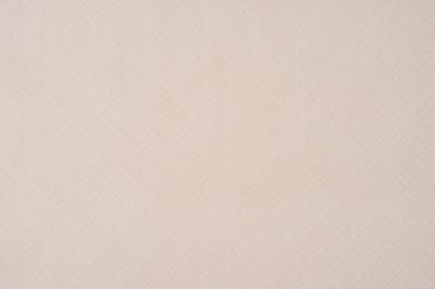 Шпалери вінілові на флізеліновій основі Слов'янські шпалери Le Grand platinum 1702-02 1,06x10,05 м