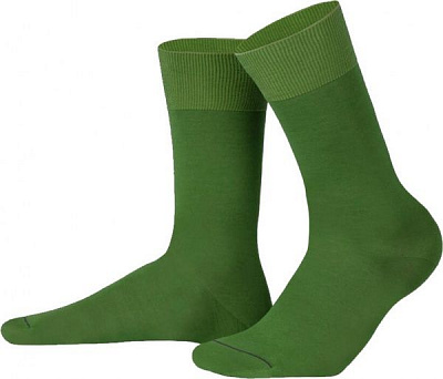 Шкарпетки чоловічі Feeelings р. 41-43 зелений 1 пар 700 41-43 625