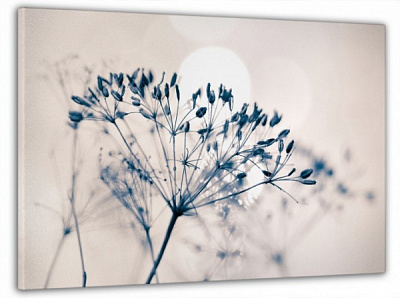 Картина на холсте Загадочная природа 60x100 см Dekor-Karpaty ЕО252 