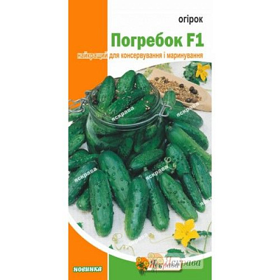 Семена Яскрава огурец Засолочный 1г (4823069800932)