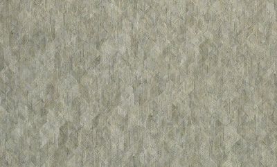 Шпалери вінілові на флізеліновій основі ASSORTI тип 774 947AS48 1,06x10,05 м