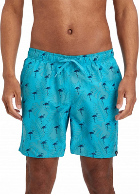 Шорти Firefly Nilas M 419324-614 р. XL бірюзовий