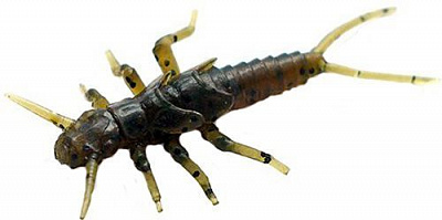 Приманки для ловли рыбы FishUp Stonefly 0.75 21 мм 12 шт. #043 - Watermelon Brown/Black