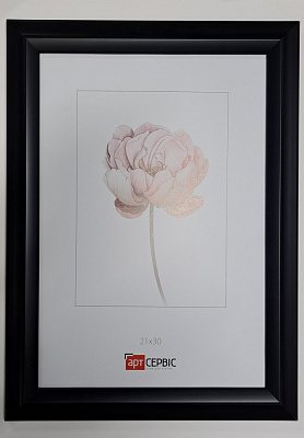 Рамка для фото Арт-Сервіс (ЕА-01931) 1 фото 21х30 см чорний