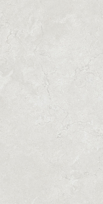 Плитка Articer Tiles Celario light grey polished 60x120 см
