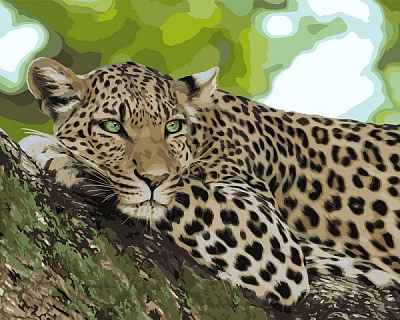 Картина по номерам Отдых хищника Идейка 