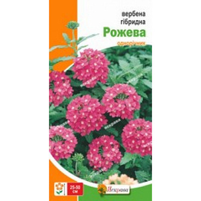 Насіння Яскрава вербена гібридна Рожева