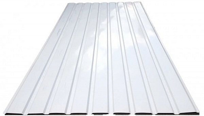 Профнастил глянцевий Strimex С-8 1225x2000 мм RAL 9003 білий