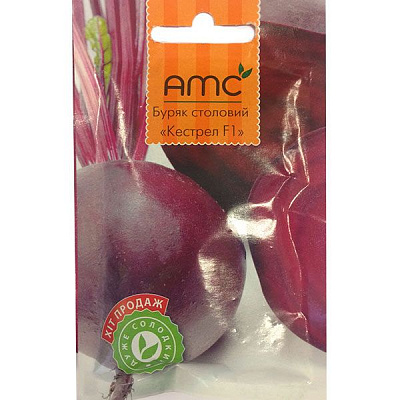 Насіння Hollar Seeds Буряк Кестрел Ф1