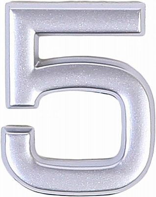 Цифра 5 пластик матовый хром 40 мм Larvij LNP4 MS #5