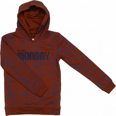 Худи для мальчика NWM р.134 коричневый U44164-1 