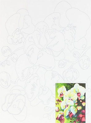 Холст на картоне с контуром Натюрморт № 18 Rosa Talent 