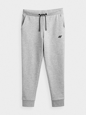 Брюки 4F HJZ21-JSPMD001A-27M р. 128 серый