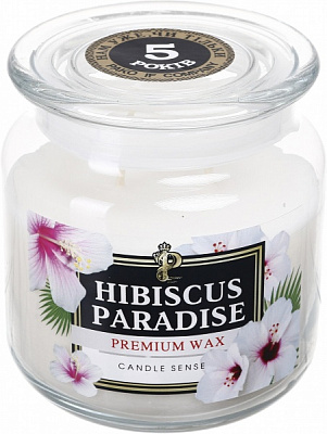 Свеча ароматическая Pako-If Hibiscus Paradise 350 г 