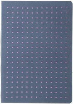 Книга для нотаток Dairy А5 96 л синій