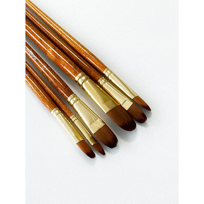 Набір професійних пензликів нейлонових 6 шт. BR650 Brushme