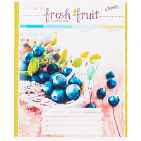 Зошит шкільний 18 аркушів у клітинку Поділля