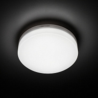 Світильник настінно-стельовий Luminaria 12 Вт білий 5000 К 