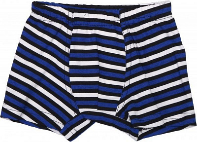 Трусы для мальчика Моя планета Тх100 р.86 белый с синим 