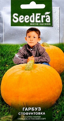 Семена Seedera тыква Стофунтовка 3г