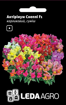 Насіння LedaAgro антуріум Снеппі F1 суміш 10 шт. (4820119794043)