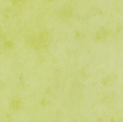 Обои A.S. Creation Boys + Girls 5 6888-66 