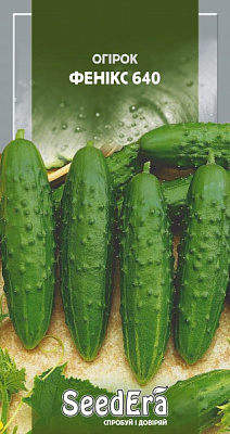 Семена SeedEra огурец Феникс 640 10г (4823114400179)