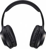 Навушники Panasonic RB-HX220BEEK black (RB-HX220BEEK) 