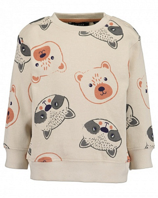 Реглан для мальчика Blue Seven трикотажный Приключения р.74 серо-бежевый 984102 X* 