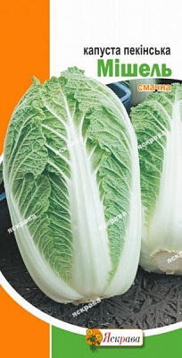 Семена Яскрава капуста пекинская Мишель 0,5г (4823069800574)